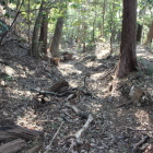 本丸西下横堀北端より南に見る