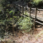 横堀が東へ竪堀として落ちる、橋の下