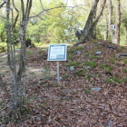 二の丸虎口近くの土塁