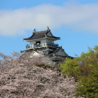 二の丸北端土塁桜越の天守閣