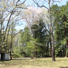二の丸北西部の桜