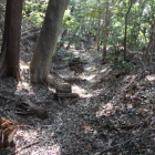 同左より南に見る