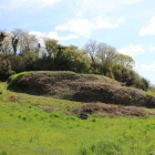 刈り上げられた三の丸と樹木に覆われた二の丸