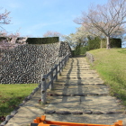 本丸東虎口登り石段周り