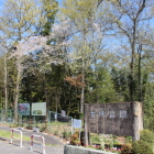 台城公園(大島城)登城口辺り