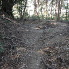 同左を土塁と横堀