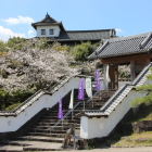 同左より登城階段脇白土塀メインの景観