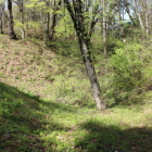 馬出東・二の丸間の大空堀、山吹も咲く