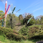 二の丸と本丸間の大堀と鯉のぼり