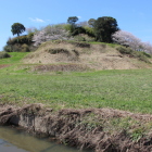 北東より水堀跡東の丸本丸を眺める
