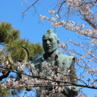 本丸内の桜越の若い日の家康像
