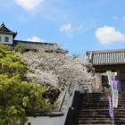 太鼓櫓と四脚門を三の丸広場より