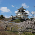 同左より桜越の天守閣