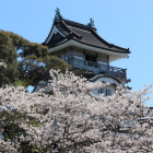 本丸より桜と天守閣Ⅱ