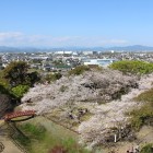 富士山発見黄色い印、桜と本丸全景