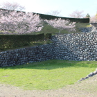 同左より西の丸東下辺りを見る