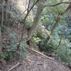 同左南は崩落部