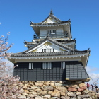 天守閣南面と桜