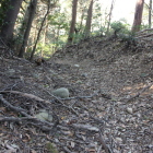 本丸北西下横堀を底より