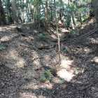 中間点辺りより横堀を北に見る