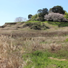 東の丸北辺から大土塁・竪堀