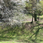 二重三日月堀の正面