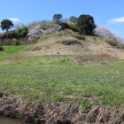 東の丸を北東裾より見上げる