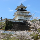 二の丸御殿南庭より望む