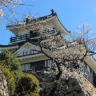 天守曲輪埋門跡と天守閣