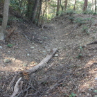 本丸北西下横堀をアップ