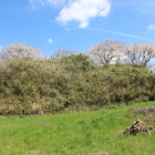 北の丸下段を西より