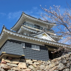 天守御門下より見上げる桜と天守