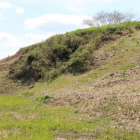 同左より大竪堀をアップ