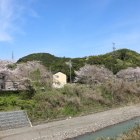 天方本城山稜部を東から