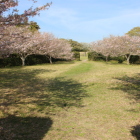 西の丸を西から東へ