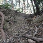 北西下横堀を崩落部より見る