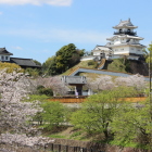 逆川に架かる大手橋上から望む