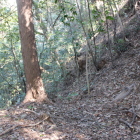 同左北端より横堀崩落部を見る