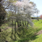 二重三日月堀を北東横より桜を入れて