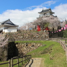 富士見櫓跡から天守と天守御門ビューポイント