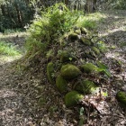 本丸北側の虎口にも石垣らしきものがあります