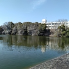 鷺堀と二の丸石垣