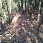 北の郭下の段曲輪の土塁