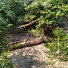 主郭下の二重堀切