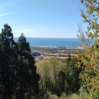 日本海と三里浜砂丘