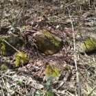 土塁外側の石垣