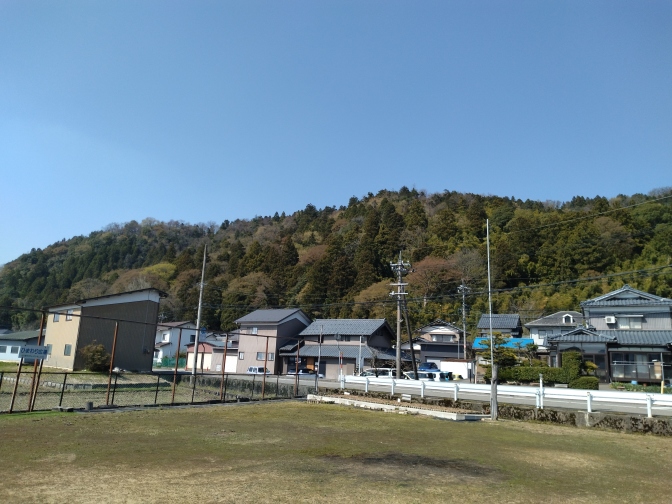 南側から見上げる