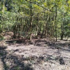 北西の連続郭群