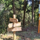 林道と大手道の接続点