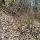 西側斜面の横堀